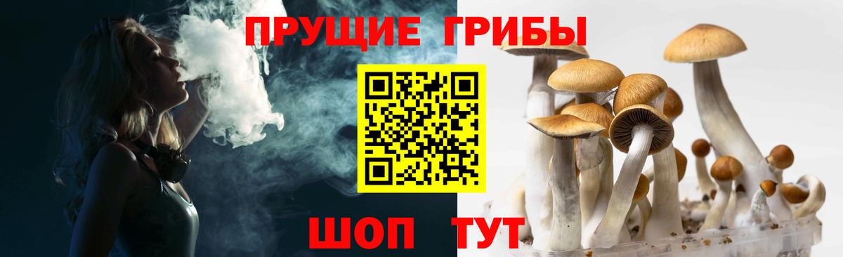 Галлюциногенные грибы прущие грибы  Галлюциногенные грибы Psilocybe  Владивосток  Вход с VPN 